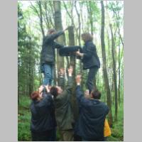 dynamitbaum.html